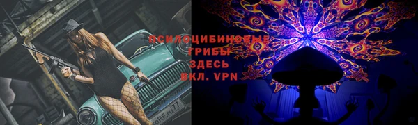 гидра Бугульма