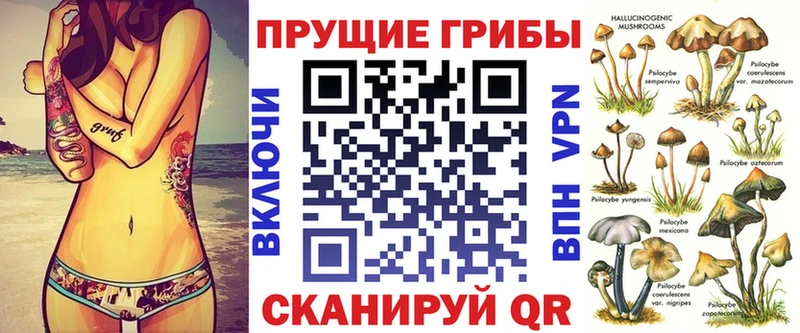 Галлюциногенные грибы Psilocybe  кракен как зайти  Тбилисская  где найти наркотики 