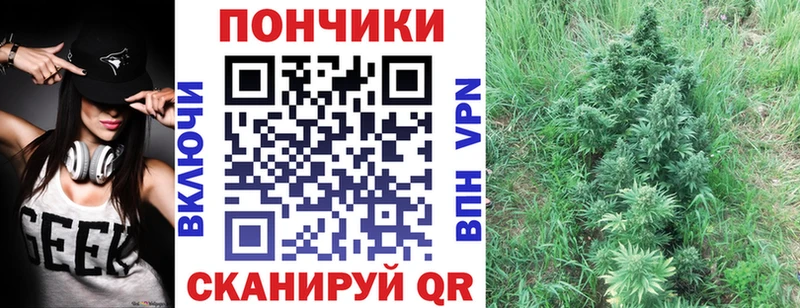 кракен сайт  Тбилисская  Каннабис сатива  наркотики 
